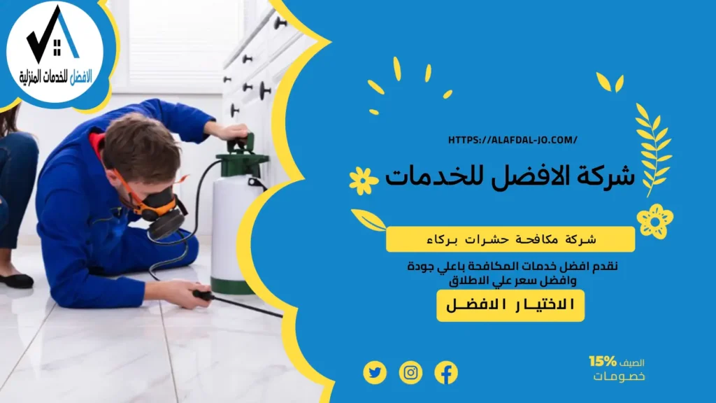 شركة مكافحة حشرات بركاء