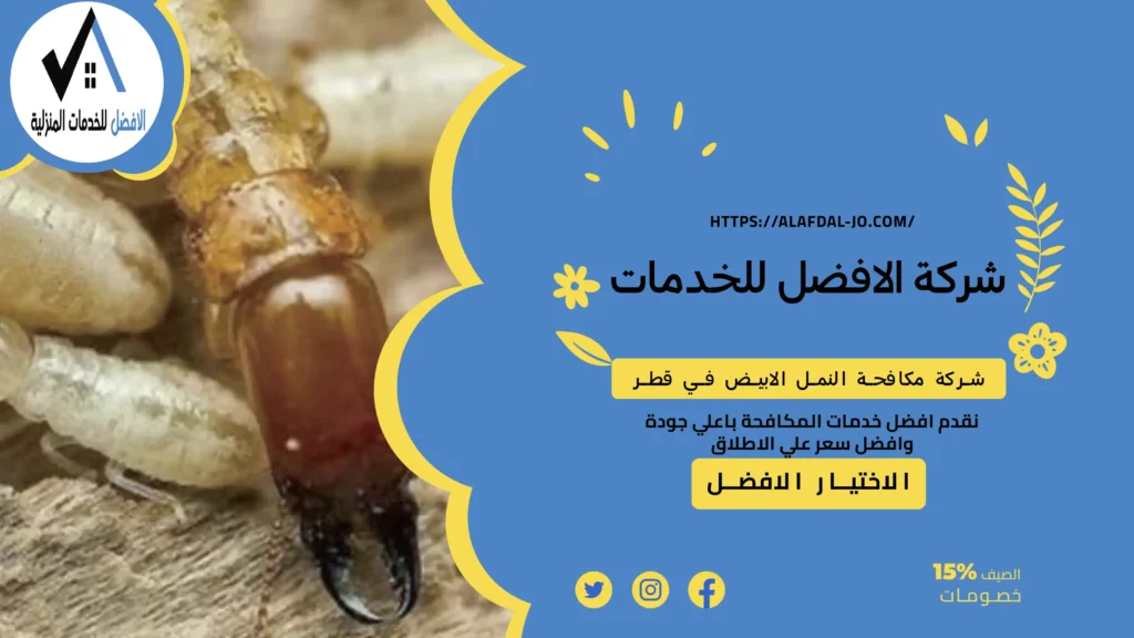 شركة مكافحة النمل الابيض في قطر