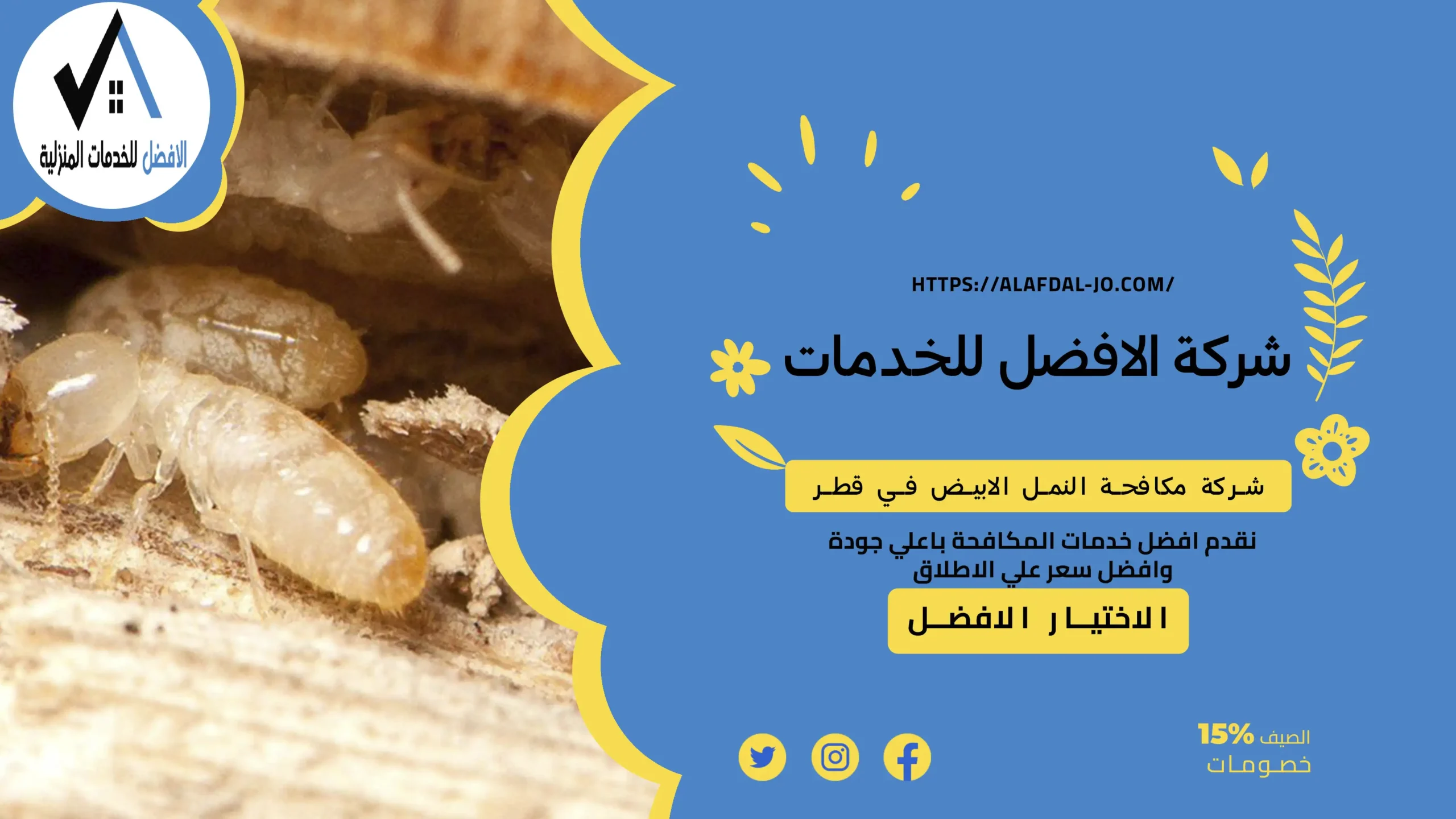 شركة مكافحة النمل الابيض في قطر