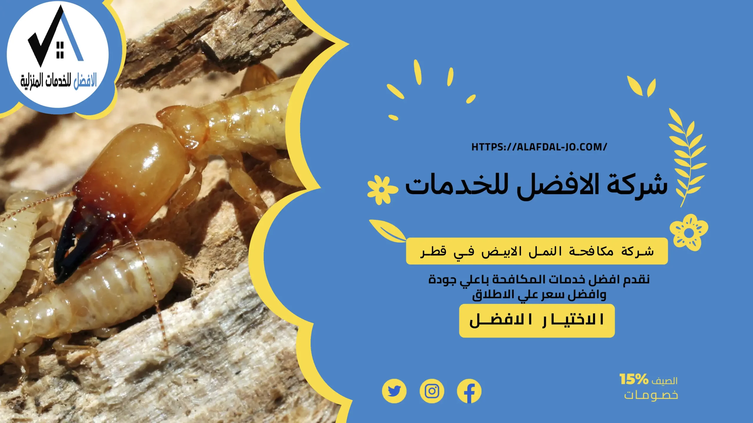 شركة مكافحة النمل الابيض في قطر