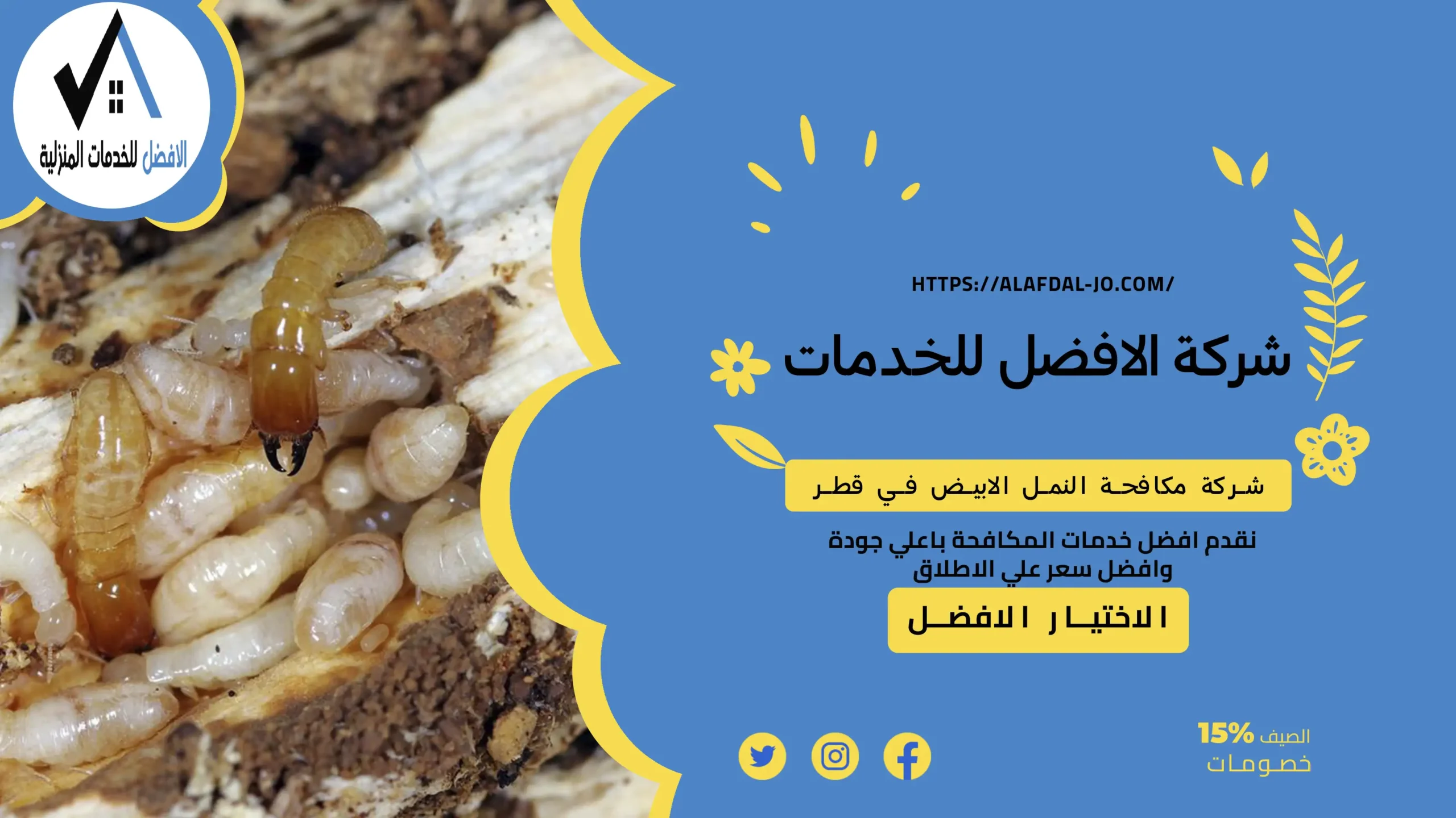 شركة مكافحة النمل الابيض في قطر