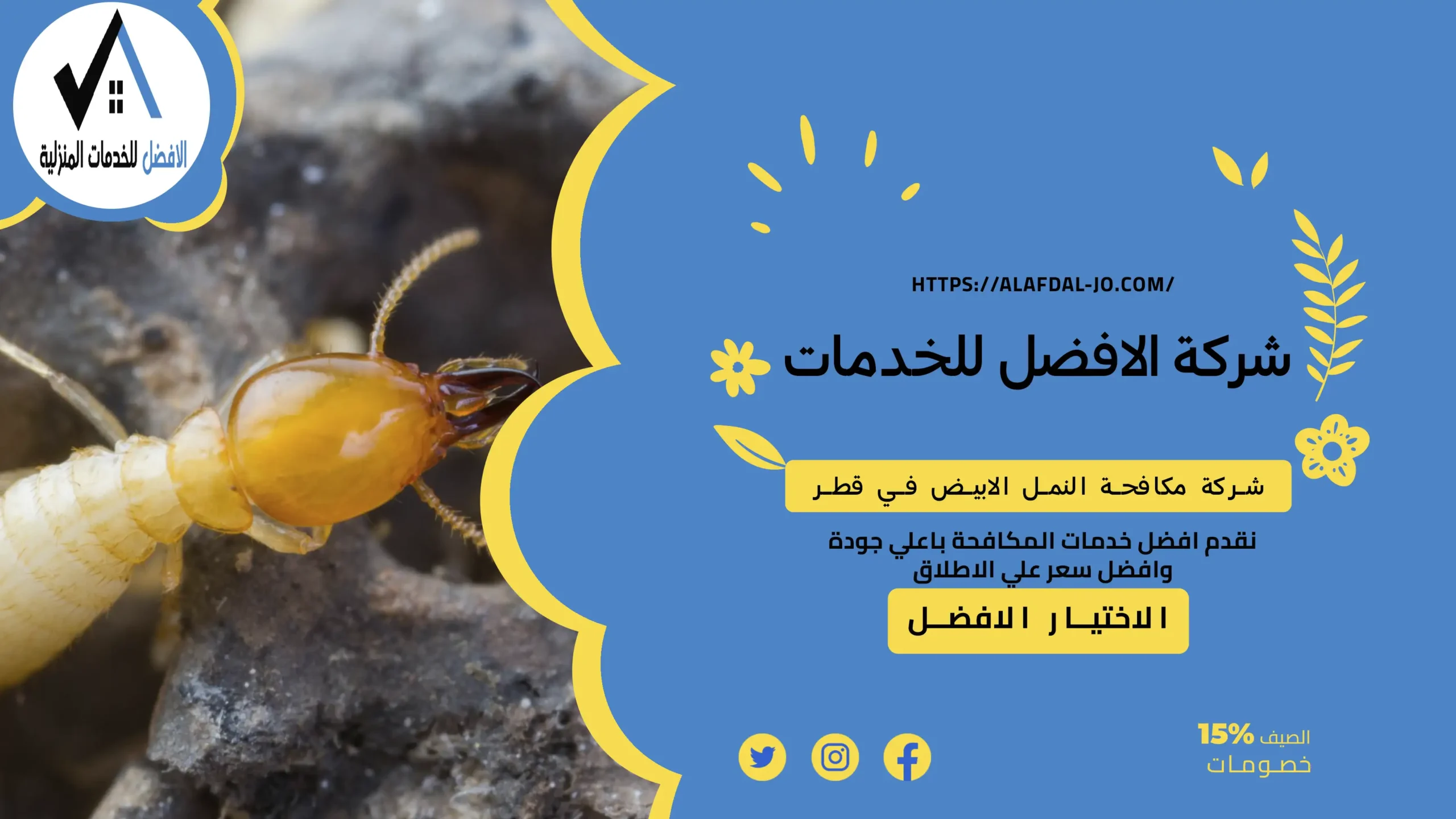 شركة مكافحة النمل الابيض في قطر