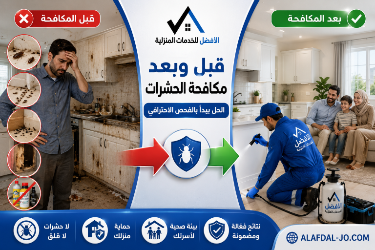 متى تحتاج إلى شركة مكافحة حشرات